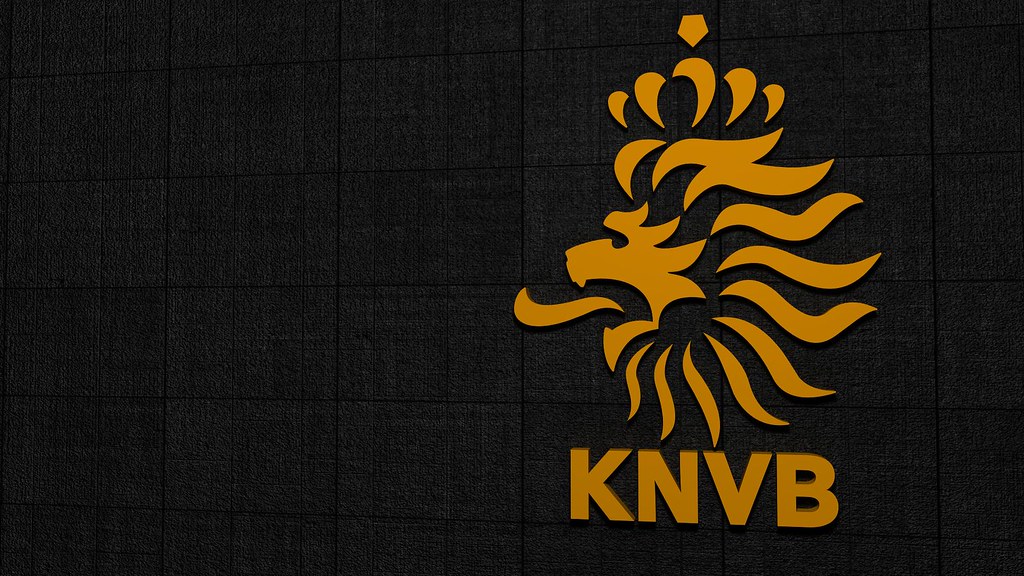 Netherlands IN search OF NEW coach